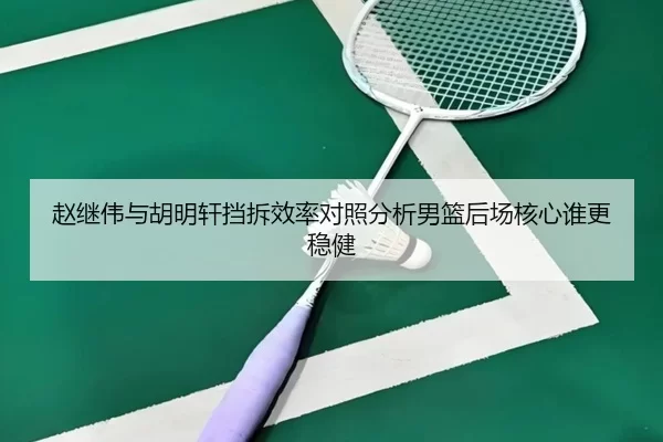 赵继伟与胡明轩挡拆效率对照分析男篮后场核心谁更稳健