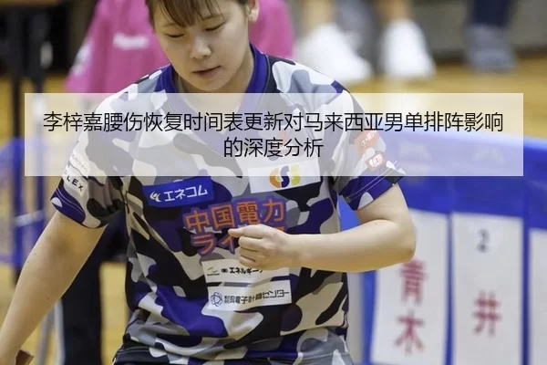 李梓嘉腰伤恢复时间表更新对马来西亚男单排阵影响的深度分析（bet365 app）